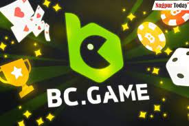 Play bitcoin online casino BC Game